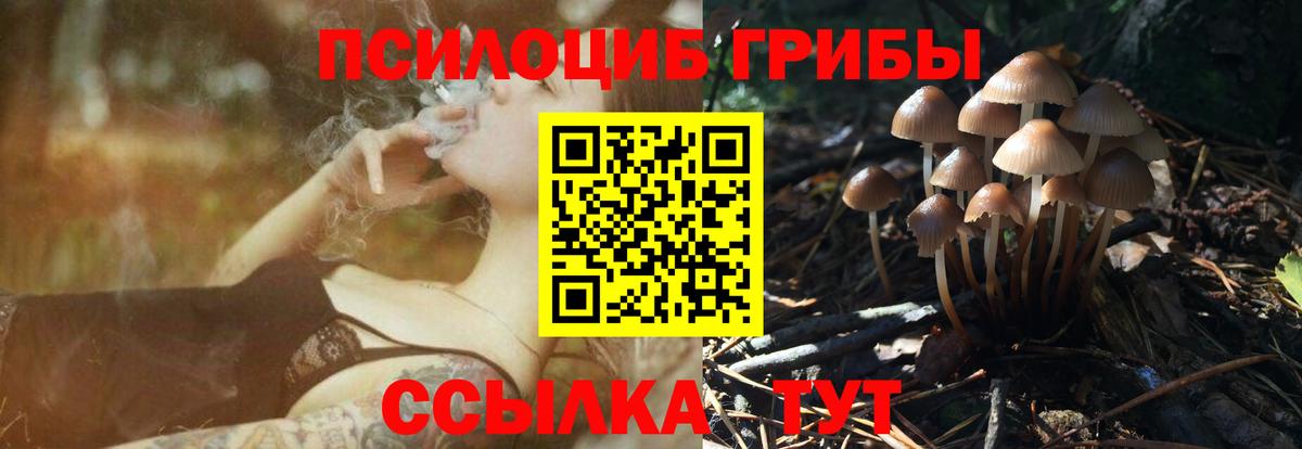 Псилоцибиновые грибы Magic Shrooms  Вход с VPN  Заволжье 